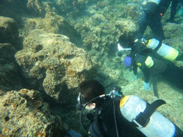 沖縄マリンサービス碧に投稿された画像（2023/2/23）