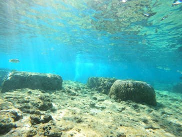 沖縄マリンサービス碧に投稿された画像（2023/2/23）