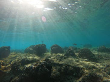 沖縄マリンサービス碧に投稿された画像（2023/2/23）