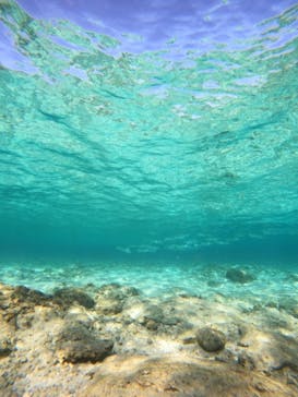 沖縄マリンサービス碧に投稿された画像（2023/2/23）