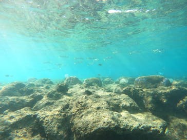 沖縄マリンサービス碧に投稿された画像（2023/2/23）