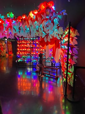 NARA KINGYO MUSEUMに投稿された画像（2023/2/23）