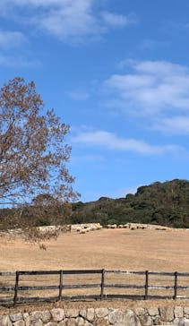 淡路ファームパーク イングランドの丘に投稿された画像（2023/2/23）