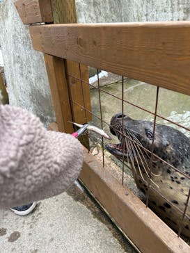 那須どうぶつ王国に投稿された画像（2023/2/23）