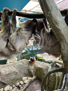 那須どうぶつ王国に投稿された画像（2023/2/23）