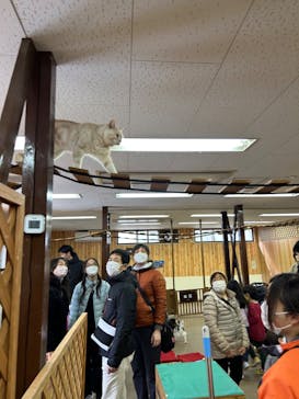 那須どうぶつ王国に投稿された画像（2023/2/23）