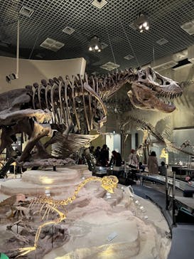 国立科学博物館に投稿された画像（2023/2/23）