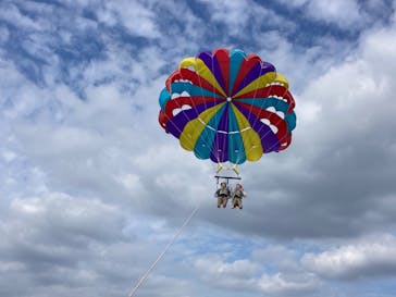 Sea World（シーワールド）に投稿された画像（2023/2/23）