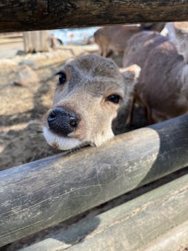 群馬サファリパークに投稿された画像（2023/2/23）