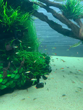 すみだ水族館に投稿された画像（2023/2/23）