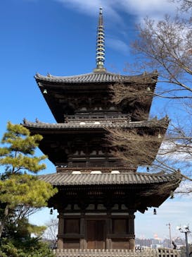 三溪園に投稿された画像（2023/2/23）