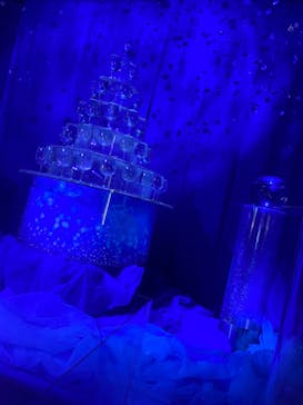 新江ノ島水族館に投稿された画像（2023/2/23）