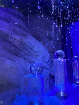 新江ノ島水族館に投稿された画像（2023/2/23）