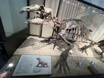 国立科学博物館に投稿された画像（2023/2/23）