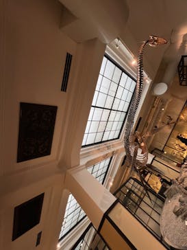 国立科学博物館に投稿された画像（2023/2/23）