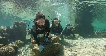 武藤潜水に投稿された画像（2023/2/23）