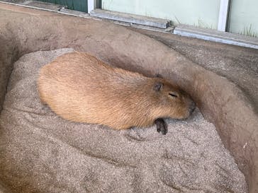 新江ノ島水族館に投稿された画像（2023/2/23）