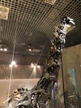 国立科学博物館に投稿された画像（2023/2/23）