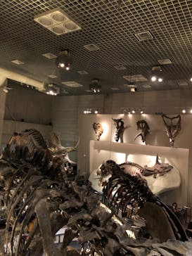 国立科学博物館に投稿された画像（2023/2/23）