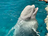 名古屋港水族館に投稿された画像（2023/2/23）