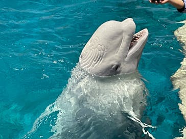 名古屋港水族館に投稿された画像（2023/2/23）