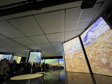 ゴッホ・アライブに投稿された画像（2023/2/23）