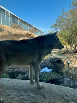 神戸どうぶつ王国に投稿された画像（2023/2/23）