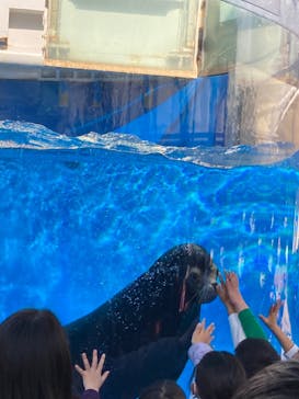 サンシャイン水族館に投稿された画像（2023/2/23）
