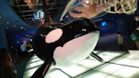 名古屋港水族館に投稿された画像（2023/2/23）