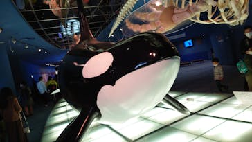 名古屋港水族館に投稿された画像（2023/2/23）