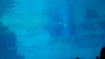 名古屋港水族館に投稿された画像（2023/2/23）