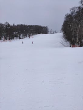 白樺湖ロイヤルヒルに投稿された画像（2023/2/23）