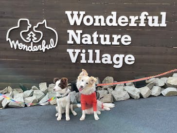 わんダフルネイチャーヴィレッジに投稿された画像（2023/2/23）