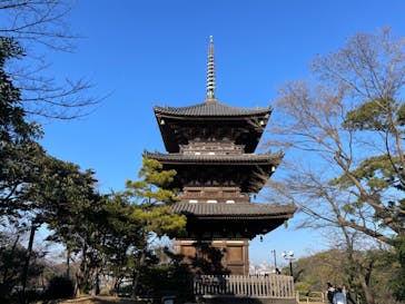 三溪園に投稿された画像（2023/2/23）