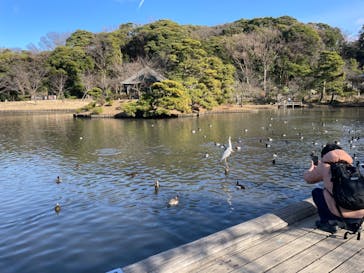 三溪園に投稿された画像（2023/2/23）