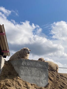 ワールド牧場に投稿された画像（2023/2/23）