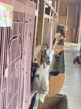 ワールド牧場に投稿された画像（2023/2/23）