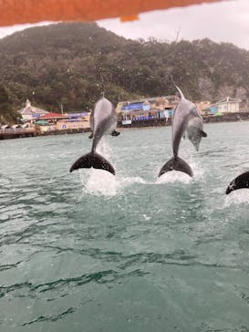 下田海中水族館に投稿された画像（2023/2/23）