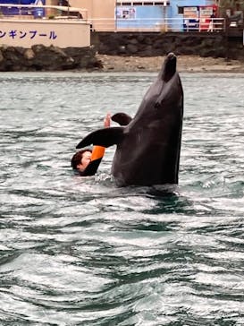下田海中水族館に投稿された画像（2023/2/23）