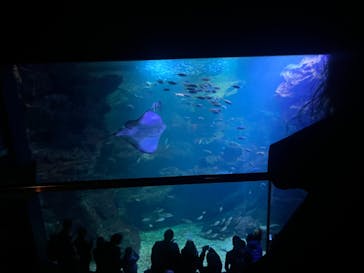 京都水族館に投稿された画像（2023/2/23）