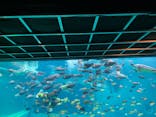 箱根園水族館に投稿された画像（2023/2/23）