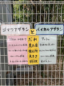 箱根園水族館に投稿された画像（2023/2/23）