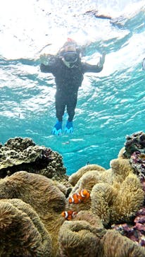 宮古島 ADVENTURE PiPi（ミヤコジマ アドベンチャー ピピ）に投稿された画像（2023/2/23）