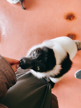 那須ワールドモンキーパークに投稿された画像（2023/2/23）