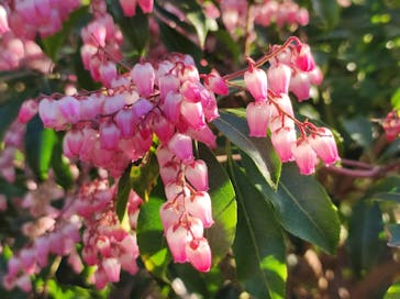 三溪園に投稿された画像（2023/2/23）