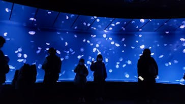 サンシャイン水族館に投稿された画像（2023/2/23）