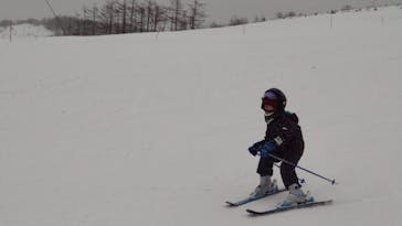 白樺湖ロイヤルヒルに投稿された画像（2023/2/23）