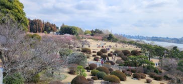 偕楽園本園に投稿された画像（2023/2/23）