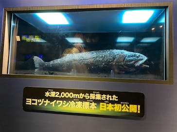 サンシャイン水族館に投稿された画像（2023/2/23）