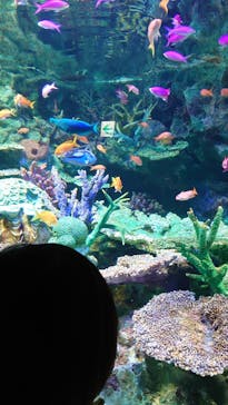 サンシャイン水族館に投稿された画像（2023/2/23）